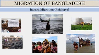 Inward Migration (Rohingya)
MIGRATION OF BANGLADESH
 