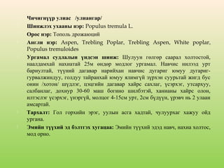 










Чичигнүүр улиас /улиангар/
Шинжлэх ухааны нэр: Populus tremula L.
Орос нэр: Тополь дрожаюций
Англи нэр: Aspen, Trebling Poplar, Trebling Aspen, White poplar,
Populus tremuloides
Ургамал судлалын үндсэн шинж: Шулуун гөлгөр саарал холтостой,
наалдамхай нахиатай 25м өндөр модлог ургамал. Навчис нилээд урт
бариултай, түүний дагавар нарийхан навчис дугариг юмуу дугариггурвалжиндуу, голдуу тайранхай юмуу ялимгүй зүрхэн суурьтай жигд бус
онин /хотон/ шүдлэг, цэцгийн дагавар хайрс сахлаг, үсэрхэг, утсархуу,
салбанлаг, дохиур 30-60 маш богино шилбэтэй, ханианы хайрс олон,
илтэслэг үсэрхэг, үнэргүй, молцог 4-15см урт, 2см бүдүүн, үрэвч нь 2 улаан
амсартай.
Тархалт: Гол горхийн эрэг, уулын асга хадтай, чулуурхаг хажуу ойд
ургана.
Эмийн түүхий эд бэлтгэх хугацаа: Эмийн түүхий эдэд навч, нахиа холтос,
мод орно.

 