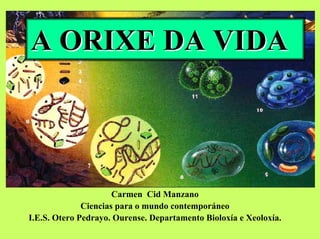 A ORIXE DA VIDA

Carmen Cid Manzano
Ciencias para o mundo contemporáneo
I.E.S. Otero Pedrayo. Ourense. Departamento Bioloxía e Xeoloxía.

 