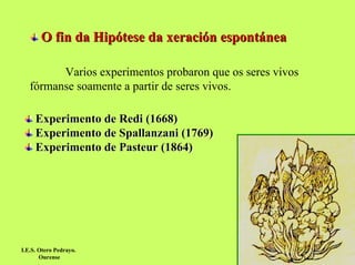 O fin da Hipótese da xeración espontánea
Varios experimentos probaron que os seres vivos
fórmanse soamente a partir de seres vivos.
Experimento de Redi (1668)
Experimento de Spallanzani (1769)
Experimento de Pasteur (1864)

I.E.S. Otero Pedrayo.
Ourense

 
