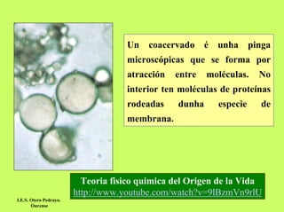 Un

coacervado é unha

pinga

microscópicas que se forma por
atracción

entre

moléculas.

No

interior ten moléculas de proteínas
rodeadas

dunha

especie

de

membrana.

Teoria fisico quimica del Origen de la Vida
http://www.youtube.com/watch?v=9lBzmVn9rlU
I.E.S. Otero Pedrayo.
Ourense

 