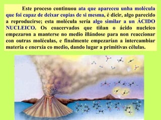 Este proceso continuou ata que apareceu unha molécula
que foi capaz de deixar copias de si mesma, é dicir, algo parecido
a reproducirse; esta molécula sería algo similar a un ÁCIDO
NUCLEICO. Os coacervados que tiñan o ácido nucleico
empezaron a manterse no medio illándose para non reaccionar
con outras moléculas, e finalmente empezarían a intercambiar
materia e enerxía co medio, dando lugar a primitivas células.

 