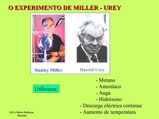 O EXPERIMENTO DE MILLER - UREY

Utilizaron:

I.E.S. Otero Pedrayo.
Ourense

- Metano
- Amoníaco
- Auga
- Hidróxeno
- Descarga eléctrica continua
- Aumento de temperatura

 