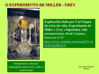 O EXPERIMENTO DE MILLER - UREY

Explicación dada por Carl Sagan
da orixe da vida. Experimento de
Miller e Urey e hipotética vida
extraterrestre. Serie Cosmos.
Duración 8´42´´
http://www.youtube.com/watch?v=u
WJGhXdWuV8

Instrumentos orixinais
empregados para levar a cabo o
experimento

I.E.S. Otero Pedrayo.
Ourense

 