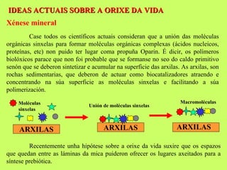 IDEAS ACTUAIS SOBRE A ORIXE DA VIDA
Xénese mineral
Case todos os científicos actuais consideran que a unión das moléculas
orgánicas sinxelas para formar moléculas orgánicas complexas (ácidos nucleicos,
proteínas, etc) non puido ter lugar coma propuña Oparin. É dicir, os polímeros
biolóxicos parace que non foi probable que se formanse no seo do caldo primitivo
senón que se deberon sintetizar e acumular na superficie das arxilas. As arxilas, son
rochas sedimentarias, que deberon de actuar como biocatalizadores atraendo e
concentrando na súa superficie as moléculas sinxelas e facilitando a súa
polimerización.
Moléculas
sinxelas

ARXILAS

Unión de moléculas sinxelas

ARXILAS

Macromoléculas

ARXILAS

Recentemente unha hipótese sobre a orixe da vida suxire que os espazos
que quedan entre as láminas da mica puideron ofrecer os lugares axeitados para a
síntese prebiótica.

 