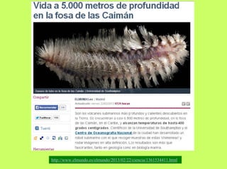 http://www.elmundo.es/elmundo/2013/02/22/ciencia/1361534411.html

 