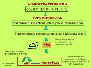 ATMOSFERA PREBIOTICA
CO2 H2O H2S H2 , N2 CH4, NH3
SOPA PRIMORDIAL
Aminoácidos, nucleótidos, acidos graxos, monosacáridos

Macromoléculas complexas: proteínas e ácidos nucleicos

ARN

Primeiros biopolímeros
autorreplicantes e con
capacidade catalítica

Síntese dos primeiros
polipéptidos e proteínas

I.E.S. Otero Pedrayo.
Ourense

ARN

PROTEÍNAS

Desenvolvemento de
membranas por moléculas
anfipáticas (lípidos) separando o
ARN e as proteína

 