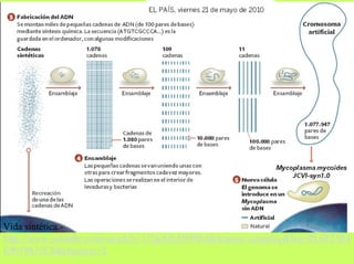 Vida sintética.http://www.youtube.com/watch?v=U3pzOLH59W4&feature=autoplay&list=PL6F23E4
E9078835C8&playnext=2

 