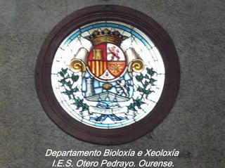 Departamento Bioloxía e Xeoloxía
I.E.S. Otero Pedrayo. Ourense.

 