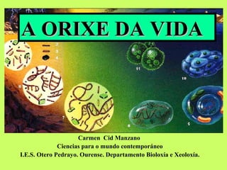 A ORIXE DA VIDA

Carmen Cid Manzano
Ciencias para o mundo contemporáneo
I.E.S. Otero Pedrayo. Ourense. Departamento Bioloxía e Xeoloxía.

 