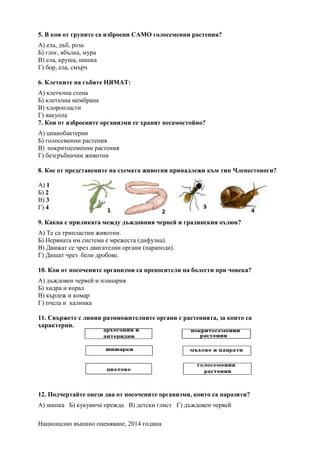 Национално външно оценяване, 2014 година
5. В коя от групите са изброени САМО голосеменни растения?
А) ела, дъб, роза
Б) глог, ябълка, мура
В) ела, круша, шипка
Г) бор, ела, смърч
6. Клетките на гъбите НЯМАТ:
А) клетъчна стена
Б) клетъчна мембрана
В) хлоропласти
Г) вакуола
7. Кои от изброените организми се хранят несамостойно?
А) цианобактерии
Б) голосеменни растения
В) покритосеменни растения
Г) безгръбначни животни
8. Кое от представените на схемата животни принадлежи към тип Членестоноги?
А) 1
Б) 2
В) 3
Г) 4
9. Каква е приликата между дъждовния червей и градинския охлюв?
А) Те са трипластни животни.
Б) Нервната им система е мрежеста (дифузна).
В) Движат се чрез двигателни органи (параподи).
Г) Дишат чрез бели дробове.
10. Кои от посочените организми са преносители на болести при човека?
А) дъждовен червей и планария
Б) хидра и корал
В) кърлеж и комар
Г) пчела и калинка
11. Свържете с линии размножителните органи с растенията, за които са
характерни.
12. Подчертайте онези два от посочените организми, които са паразити?
А) шипка Б) кукувича прежда В) детски глист Г) дъждовен червей
 