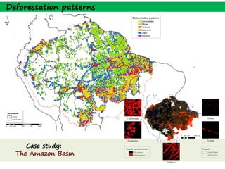 Deforestation patterns




     Case study:
  The Amazon Basin
 