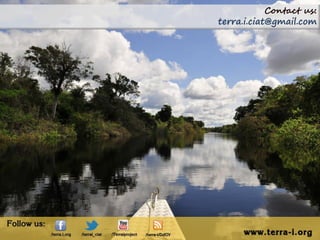 Contact us:
terra.i.ciat@gmail.com
 