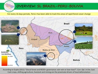 OVERVIEW: SL BRAZIL-PERU-BOLIVIA

         For every 16 days periods, Terra-i has been able to track the areas of rapid forest-cover change



                                                                           Brazil



                                                        Acre


                                    Ucayali


                                                                           Pando
                      Peru
                                                 Madre de Dios

Loss detections
         Jan 2004

                                                                                      Bolivia

         Oct 2012


  According to Gupta (2012) “Glocal forest and REDD+ governance: win–win or lose–lose?”. Curr. Opi. in Env. Sust.
       Cash crops, shifting agriculture, livestock and mining are the proximate drivers of local deforestation
 
