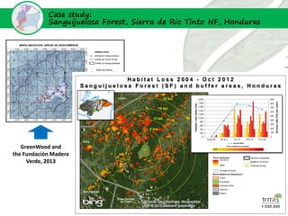 Case study:
            Sanguijuelosa Forest, Sierra de Rio Tinto NF, Honduras




   GreenWood and
the Fundación Madera
     Verde, 2013
 