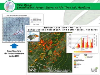 Case study:
            Sanguijuelosa Forest, Sierra de Rio Tinto NF, Honduras




   GreenWood and
the Fundación Madera
 ...
