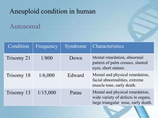 karyotyping | PPTX