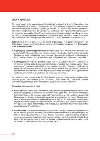 66
COCA Y DERIvADOS
El nombre “coca” se deriva del dialecto Aimará khoka que significa “árbol“ o de la palabra inca
“cuca” que significa “el arbusto”. Es originaria del Perú, según los historiadores, pero también
se encuentra silvestre en Bolivia, Ecuador y Colombia. El uso de la hoja de coca se remonta
a la antigüedad precolombina En varias de las estatuas de San Agustín están representados
los elementos que servían para el “mambeo“como era la bolsa o mochila para llevar las hojas
de coca, el caracol o calabacillo donde se guardaba el polvo calizo y el palillo. En algunas
regiones del Perú los hallazgos permiten afirmar la coca se usa desde hace dos mil años.
Botánicamente la coca pertenece a la familia Eritroxilacea y al género Eritroxylum. En
Colombia se cultivan con fines ilícitos las especies Eritroxylum coca Lam. y la Eritroxylum
coca Novogranatenses:
• Erytroxylum coca Novogranatenses. Nombre vulgar coca. Arbusto de 1 a 3 metros, tallo
púrpura-café, hojas escasamente elípticas, ápice redondeado o ligeramente mucronado,
flores en las axilas de las hojas, frutos en drupa . Se encuentra distribuida en el oeste de la
India, Trinidad, Brasil, Perú, Guinea Francesa, Guinea Británica, Venezuela y Colombia.
• Erythroxylum coca Lam. Nombre vulgar “Coca” o “Árbol de la coca”. Planta de 2
m de alto, corteza rojiza, hojas alternas, elípticas, ovaladas, lanceoladas, ápice y base
acuminados, raramente redondeados, mucronadas, lampiñas, delgadas, coriáceas, de
nervación reticular marcada, en la que se pueden apreciar dos nervaduras paralelas y
equidistantes a la nervadura central. Hojas de color verde brillante por el haz y por el envés
verde grisáceo, flores en las axilas de las hojas o de las ramas.
La planta de coca sintetiza más de 20 alcaloides entre los cuales están: metilecgonina,
benzoilecgonina, benzoilmetilecgonina (cocaína), cinamoil-cocaína. Las hojas jóvenes
contienen mayor cantidad de cinamoilcocaína y las adultas cocaína y truxilina.
Productos obtenidos de la coca
• Pasta de coca. Es una masa habana con olor característico, generalmente húmeda, suele
contener agregados y raramente se presenta como polvo fino. Se obtiene mezclando
las hojas trituradas de coca con agua, cal y queroseno (o un hidrocarburo equivalente).
Después de un tiempo, se separa el queroseno y se desechan las hojas. Al queroseno
se le adiciona agua acidulada, quedando los alcaloides en la capa acuosa, ésta una vez
separada de la fase orgánica se alcaliniza con cal y amoníaco para obtener un precipitado
que se separa y seca denominado pasta de coca, que contiene sales inorgánicas mixtas,
cocaína bruta y otros alcaloides.
• Cocaínabase.Puedepresentarsecomopolvocristalino,habano,cremaocafé,dependiendo
de las técnicas químicas, insumos y de la materia prima utilizada en su procesamiento. Se
obtiene de la siguiente manera: la pasta de coca se disuelve en ácido sulfúrico diluido Se
añade permanganato de potasio hasta obtener un color rosado. La solución resultante se
filtra, al filtrado resultante se le adiciona amoníaco precipitando la cocaína base y otros
alcaloides. El precipitado se lava con agua y se seca.
 