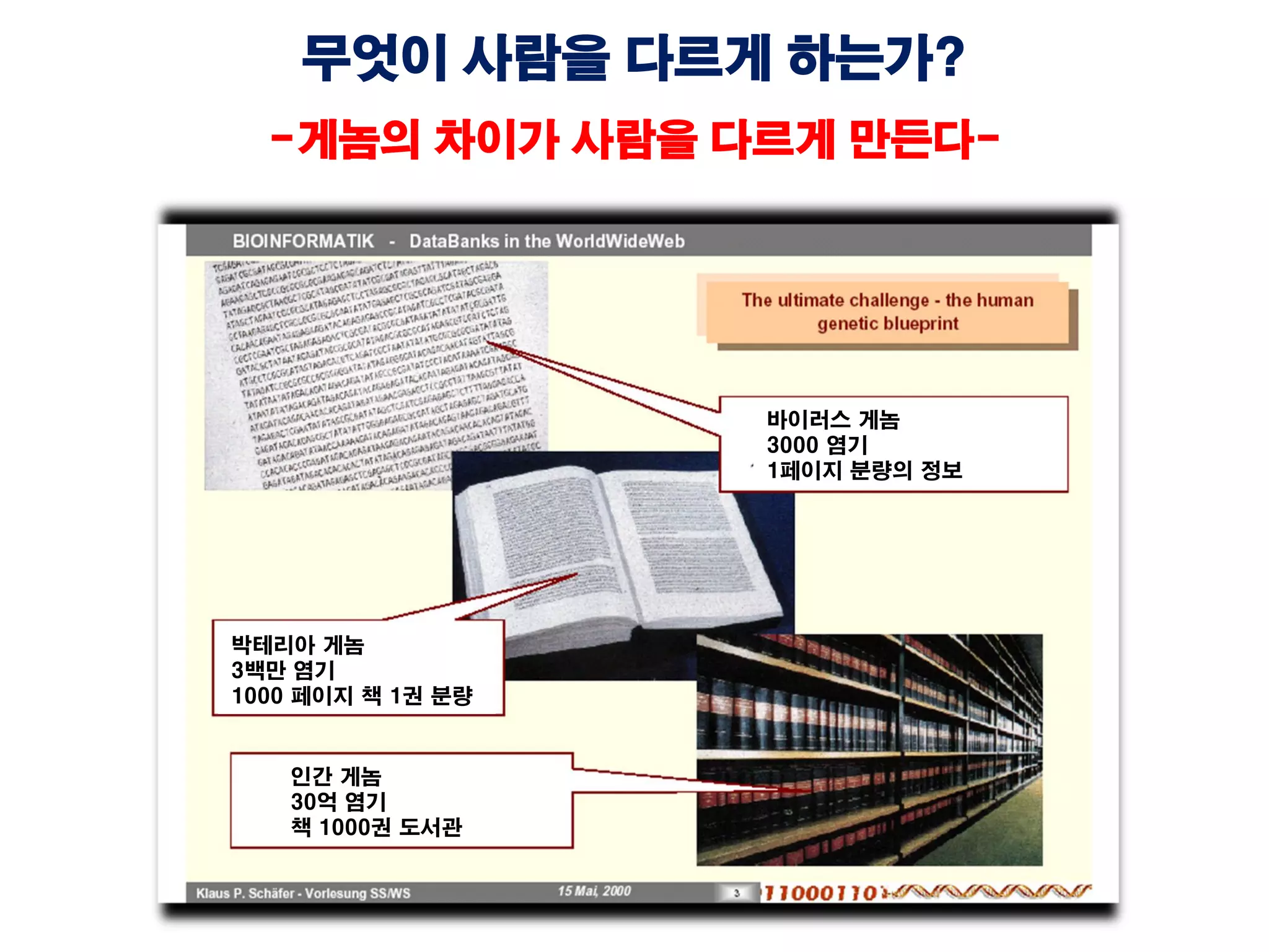 무엇이 사람을 다르게 하는가?
-게놈의 차이가 사람을 다르게 만든다-
바이러스 게놈
3000 염기
1페이지 분량의 정보
박테리아 게놈
3백만 염기
1000 페이지 책 1권 분량
인간 게놈
30억 염기
책 1000권 도서관
 