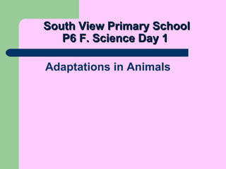 South View Primary SchoolSouth View Primary School
P6 F. Science Day 1P6 F. Science Day 1
Adaptations in Animals
 