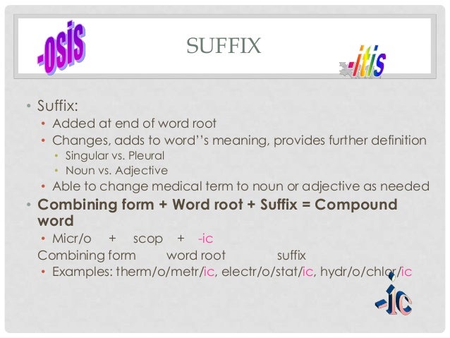 medical term what the hell did you just say to me the combining form eti o means