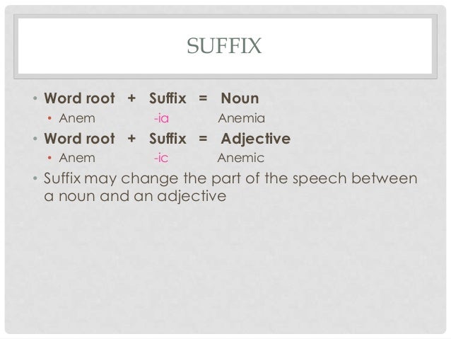 (Medical term) WHat the Hell did you just say to me?