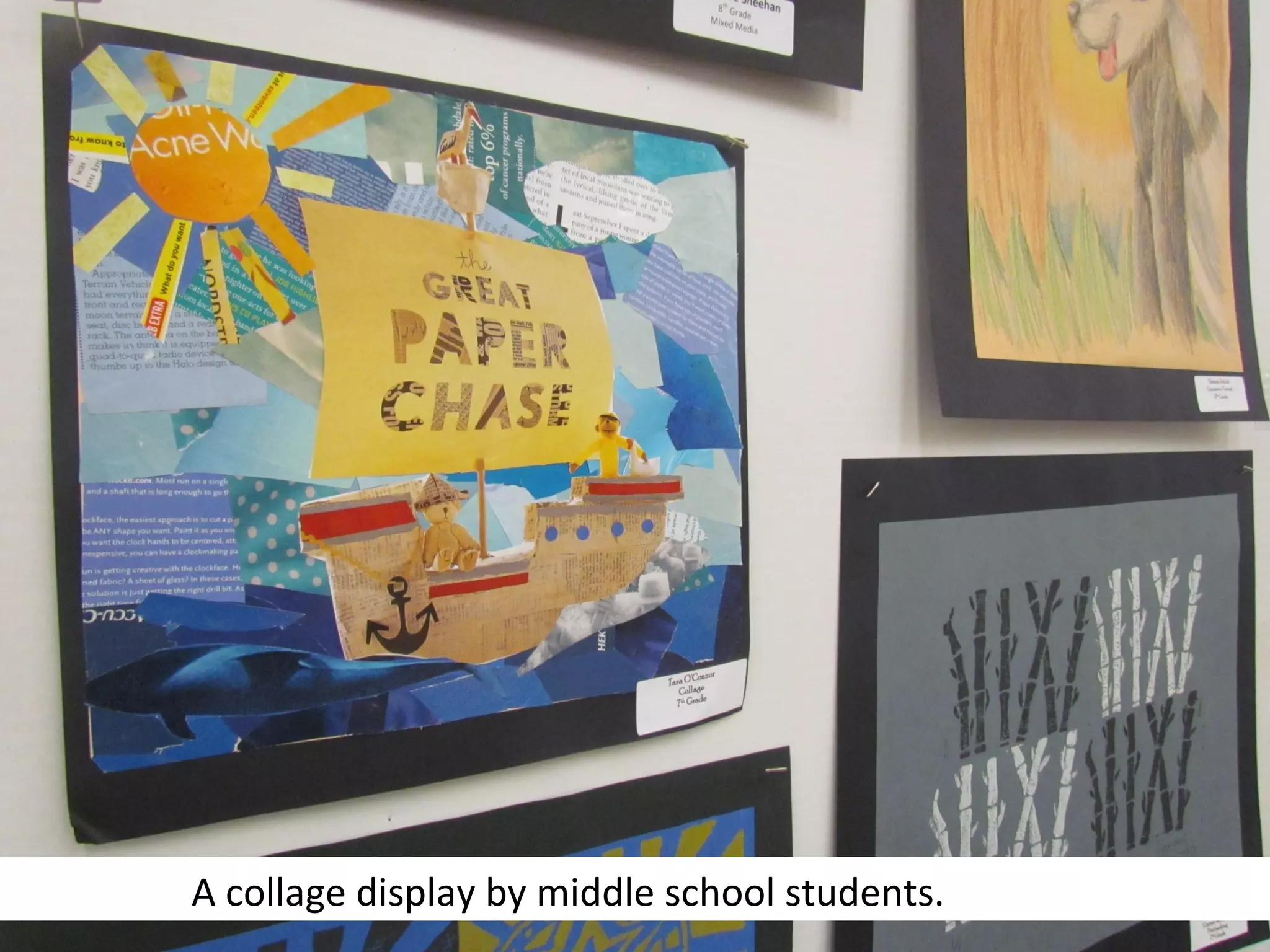 A collage display by middle school students.