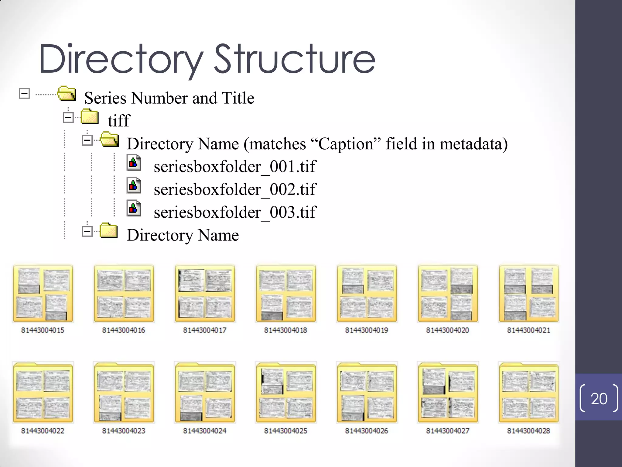 Directory Structure
20
Series Number and Title
tiff
Directory Name (matches “Caption” field in metadata)
seriesboxfolder_001.tif
seriesboxfolder_002.tif
seriesboxfolder_003.tif
Directory Name
 