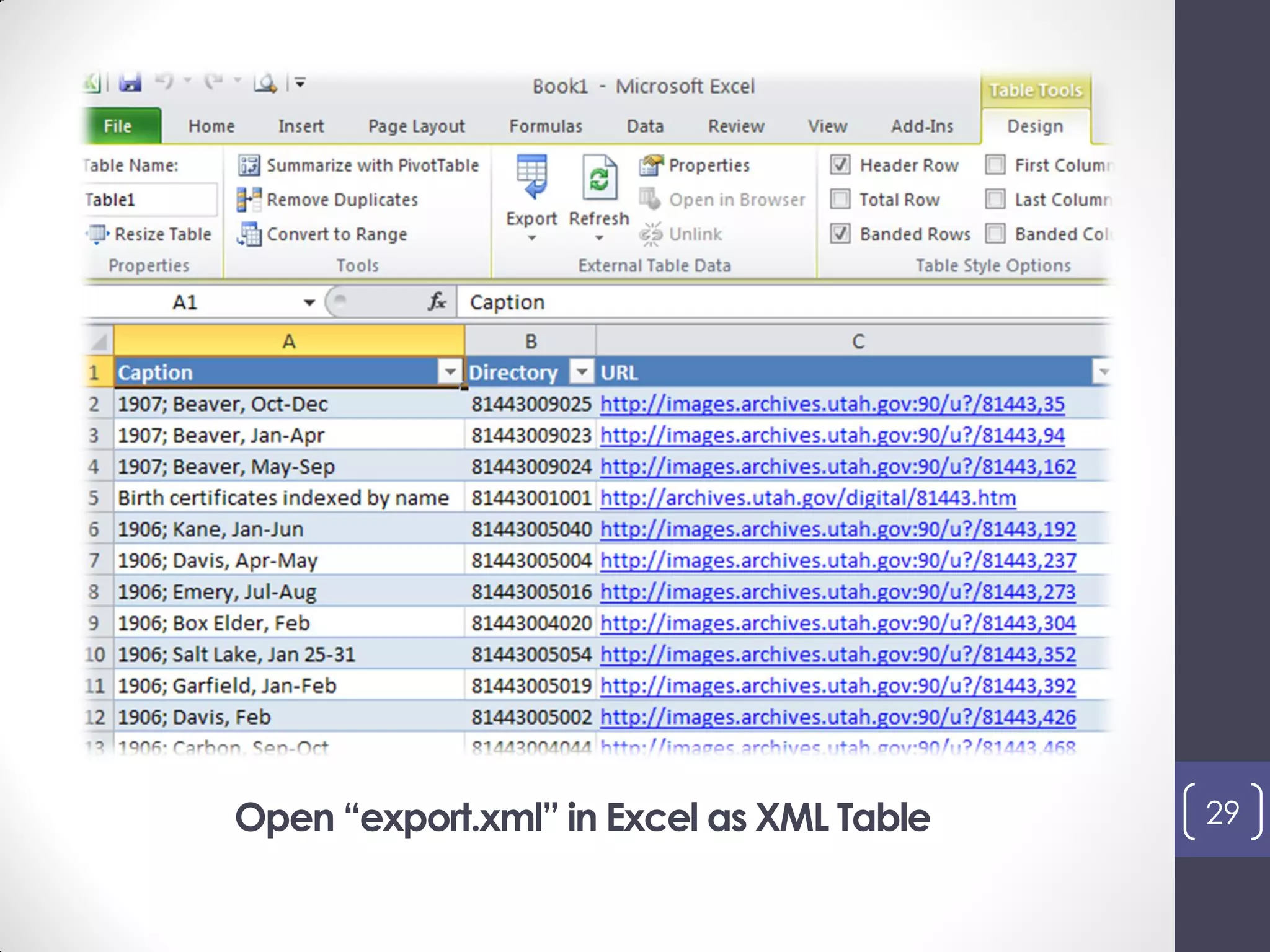 Open “export.xml” in Excel as XML Table 29
 