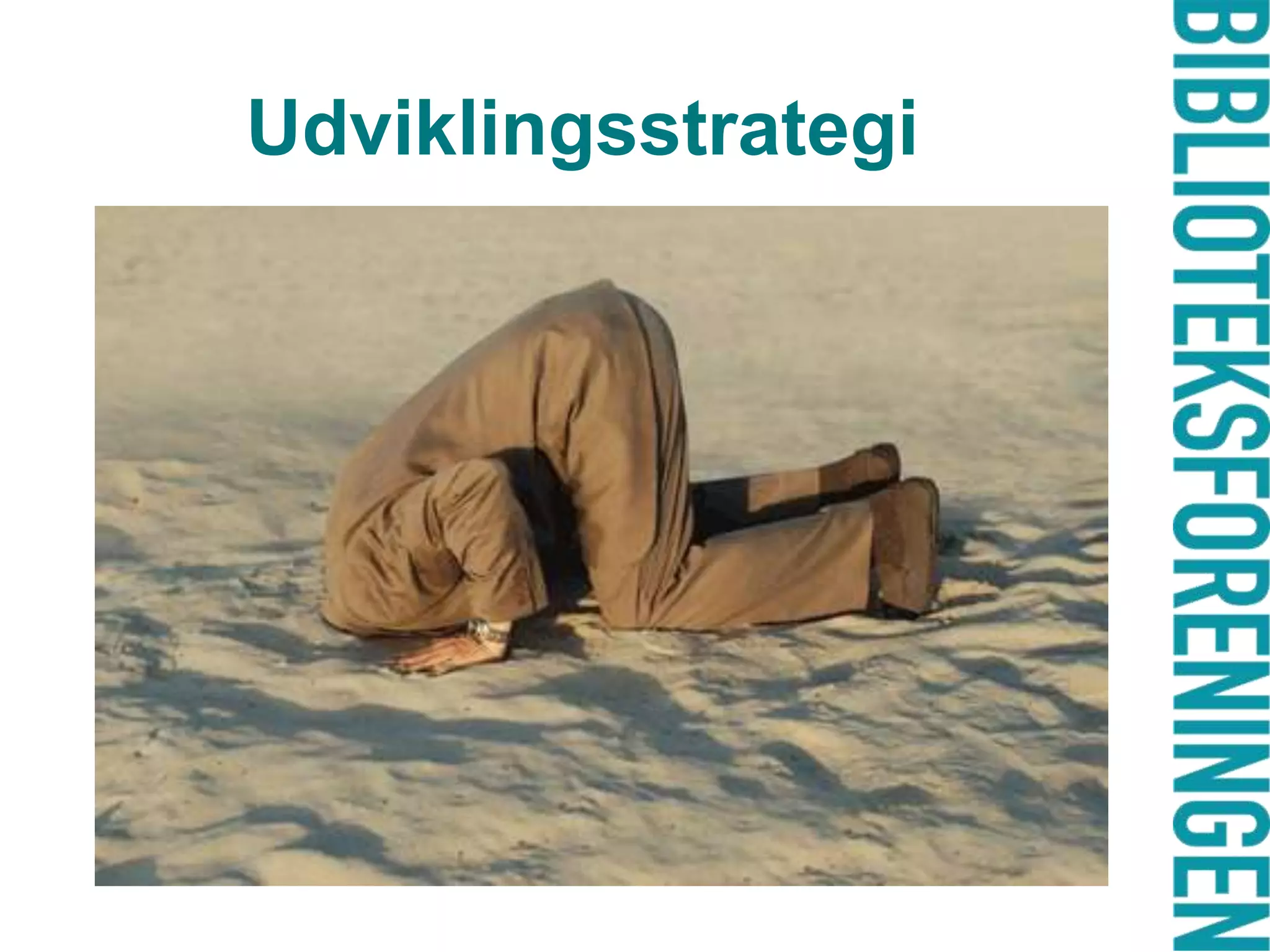 Udviklingsstrategi

 