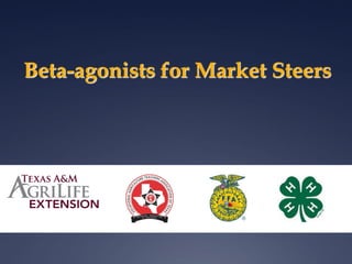 Beta-agonists for Market Steers
 