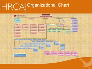 Organizational Chart
 