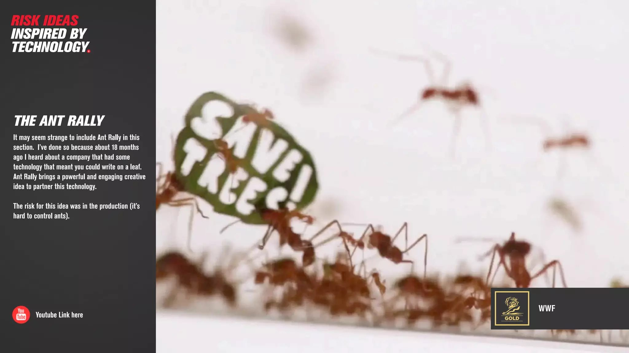 WWF
Youtube Link here
THE ANT RALLY
It may seem strange to include Ant Rally in this
section. I’ve done so because about 18 months
ago I heard about a company that had some
technology that meant you could write on a leaf.
Ant Rally brings a powerful and engaging creative
idea to partner this technology.
The risk for this idea was in the production (it’s
hard to control ants).
GOLD
RISK IDEAS
INSPIRED BY
TECHNOLOGY
 