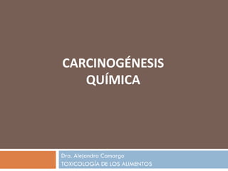 Dra. Alejandra Camargo
TOXICOLOGÍA DE LOS ALIMENTOS
CARCINOGÉNESIS
QUÍMICA
 
