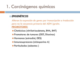 1. Carcinógenos químicos
 EPIGENÉTICOS
Alteran la expresión de genes por transcripción o traducción
pero no la secuencia primaria del ADN (gralm.
PROMOTORES)
 Citotóxicos (nitrilotriacdetato, BHA, BHT)
 Promotores de tumores (DDT, Dioxinas)
 Hormonas (estradiol, DES)
 Inmunosupresores (ciclosporina A)
 Particulados (asbestos )
 
