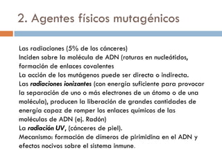 2. Agentes físicos mutagénicos
Las radiaciones (5% de los cánceres)
Inciden sobre la molécula de ADN (roturas en nucleótidos,
formación de enlaces covalentes
La acción de los mutágenos puede ser directa o indirecta.
Las radiaciones ionizantes (con energía suficiente para provocar
la separación de uno o más electrones de un átomo o de una
molécula), producen la liberación de grandes cantidades de
energía capaz de romper los enlaces químicos de las
moléculas de ADN (ej. Radón)
La radiación UV, (cánceres de piel).
Mecanismo: formación de dímeros de pirimidina en el ADN y
efectos nocivos sobre el sistema inmune.
 