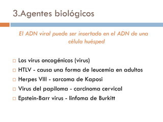 3.Agentes biológicos
El ADN viral puede ser insertado en el ADN de una
célula huésped
 Los virus oncogénicos (virus)
 HTLV - causa una forma de leucemia en adultos
 Herpes VIII - sarcoma de Kaposi
 Virus del papiloma - carcinoma cervical
 Epstein-Barr virus - linfoma de Burkitt
 