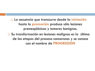  La secuencia que transcurre desde la iniciación
hasta la promoción produce sólo lesiones
preneoplásicas y tumores benignos.
 Su transformación en lesiones malignas es la última
de las etapas del proceso cancerosos y se conoce
con el nombre de PROGRESIÓN
 