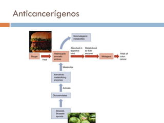 Anticancerígenos
 