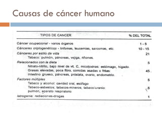 Causas de cáncer humano
 