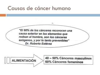 Causas de cáncer humano
 