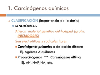 1. Carcinógenos químicos
 CLASIFICACIÓN (importancia de la dosis)
 GENOTÓXICOS
Alteran material genético del huésped (gralm.
INICIADORES)
Son electrofílicos y radicales libres
Carcinógenos primarios o de acción directa
Ej. Agentes Alquilantes
Procarcinógenos Carcinógenos últimos
Ej. AH, HAP, NA, etc.
 