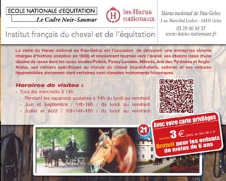 Horaires de visites :
- Tous les mercredis à 14h
- Pendant les vacances scolaires à 14h du lundi au vendredi
- Juin et Septembre / 14h-16h / du lundi au vendredi
- Juillet et Août / 10h-14h-16h / du lundi au vendredi
La visite du Haras national de Pau-Gelos est l’occasion de découvrir une entreprise vivante
chargée d’histoire (création en 1808) et résolument tournée vers l’avenir, ses étalons issus d’une
dizaine de races dont les races locales Pottok, Poney Landais, Mérens, Ane des Pyrénées et Anglo-
Arabe, ses métiers spécifiques au monde du cheval (maréchalerie, sellerie) et ses voitures
hippomobiles anciennes dont certaines sont classées monuments historiques.
Avec votre carte privilèges
Adultes 3€/pers. au lieu de 5 m
Gratuit pour les enfants
de moins de 6 ans
21
Haras national de Pau-Gelos
1 av. Maréchal Leclerc - 64110 Gelos
05 59 06 98 37
www-haras-nationaux.fr
 
