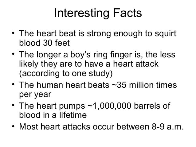 circulatory system