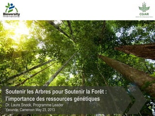 Soutenir les Arbres pour Soutenir la Forêt :
l’importance des ressources génétiques
Dr. Laura Snook, Programme Leader
Yaounde, Cameroon May 23, 2013
CIFORphoto
 