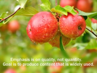 2013 content strategy - EBriks Infotech