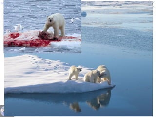 semema@gmail.com
054-4415591
‫מורג‬ ‫איל‬
‫השחור‬ ‫הפרפר‬ ‫אפקט‬
 