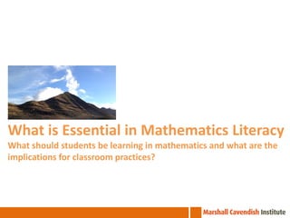 What is Essential in Mathematics Literacy
What should students be learning in mathematics and what are the
implications for classroom practices?

 