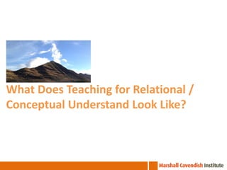 What Does Teaching for Relational /
Conceptual Understand Look Like?

 