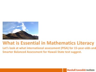 What is Essential in Mathematics Literacy

Let’s look at what international assessment (PISA) for 15-year-olds and
Smarter Balanced Assessment for Hawaii State test suggest.

 